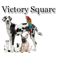 Victory Square Vet Clinic