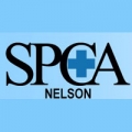 SPCA Nelson