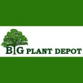 The Big Plant Depot