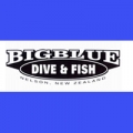 Big Blue Dive and Fishing Store
