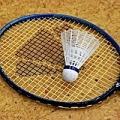 Badminton in Upper Moutere