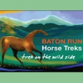 Baton Run Horse Treks